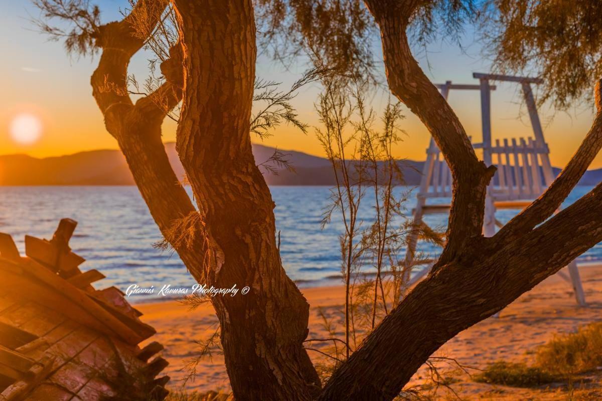 Mikri Vigla Hotel Beach Resort 외부 사진